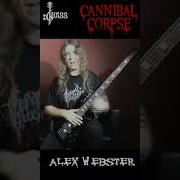 Как избежать выбора Автор Алекс Вебстер Chamisbass Alexwebster