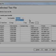 Acuate Data Profiling Tool How To Use A Text File