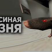 Эти скандалы настолько тупые что я потерял сознание