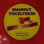 Mahmut Yüceltekin Seni Nasıl Seveyim Official Audio