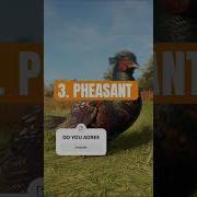 TOP 5 Easiest Great Ones Cotw Hunting Greatone