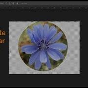 How To Crop Circle In Photoshop Cc How To Crop Circular Image In Photoshop General InfoPedia
