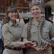 Robert Irwin Struck By Python