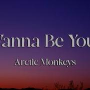 Arctic Monkeys I Wanna Be Yours Lyrics Loop Video