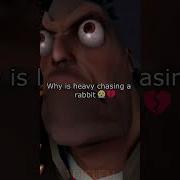 SFM Why Is Heavy Chasing A Rabbit Sfm Sfmfunnyanimation Memes Funny Shorts Short