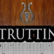 Struttin Jerry Reed W TABS Performed By Martijn Hadders Lyrebird Guitar