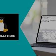 Как бесплатно запустить Linux на IPad без джейлбрейка Программирование на IPad