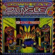 Various Downbeat In The Jungle Vol 2 1995