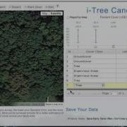 I Tree Canopy Classify Sample Points