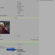 3 REDCap Data Entry