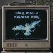 Weezer Bird With A Broken Wing Audio