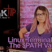 Как исправить ошибки связанные с переменными пути Терминал Linux 201 HakTip 176