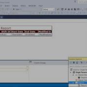 SSRS Multiple Parameters Report