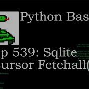 Python Basics Tutorial Sqlite Cursor Select Fetchall Method