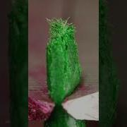 Fiber Marker Cutting Urday Macro