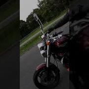 Sfsh Mongrel Mob Riders Wilde DOGGS Cap And Vc And Mighty Sarge DOGG