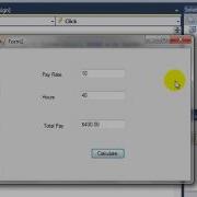 Visual Basic VB Total Pay Format Currency