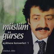 Dalgalandım Da Duruldum