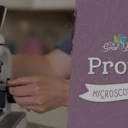 Protist Microscope Lab Kingdoms And Classification The Good And The Beautiful
