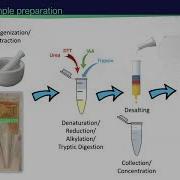 Introduction To Proteomics 2021 EMSL Summer School