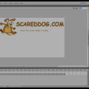 Shape Tween Tutorial Flash CS5