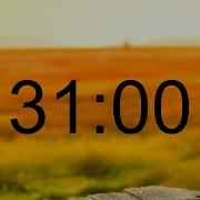 31 Minute Timer