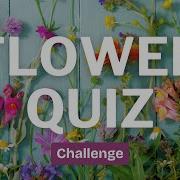 Flower Identification Challenge Can You Name These Beautiful Blooms