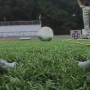Testing Performance Ball Roll