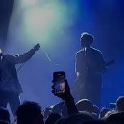 Fiddlehead Grief Motif At Webster Hall 9 23 23