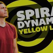 Spiral Dynamics Yellow No Judgment