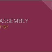 NET Assembly