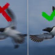 HOW TO PICK THE RIGHT SHUTTER SPEED