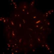 Explosion Sprite
