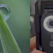 APEXEL Phone Microscope Lens 200X Phone Micro Lens Nano Zoom For Android IPhone With LED UV Light