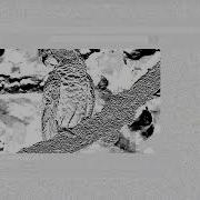 Temporal Dithering On MacOS Sonoma MBP M3 Max
