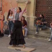 Flamenco Dance 1 In Granada 2015
