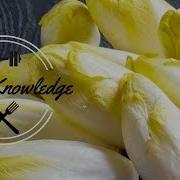 What Is An Endive