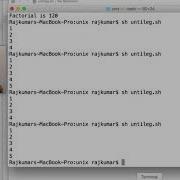 Unix Linux Shell Scripting Until Loop Statement