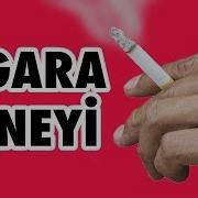 Elektrik Süpürgesine Sigara İçirdik Sigaranın Zararını Görün