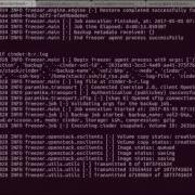 Freezer Backup And Restore Demo