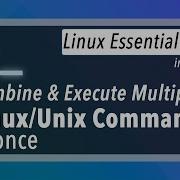Running Multiple Linux Unix Commands At Once Hindi