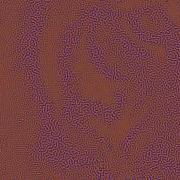 Reaction Diffusion Animation