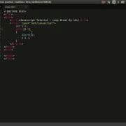016 Javascript Tutorial Loop Break Ep 16