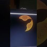Python Project Python Programming Python Pythonprojects Pythontutorial Shorts