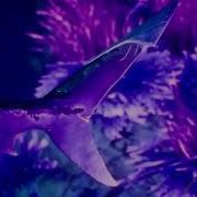 Maneater Shadow Evolution Trailer But Its Edited