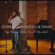 Ceren Gündoğdu Tekir Ve Birimiz Öldü