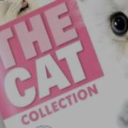 Рекламный ролик журнала The Cat Collection