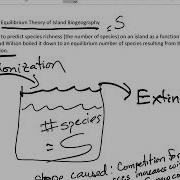 Walla S Island Biogeography With Sound Part 1 Equilibrium