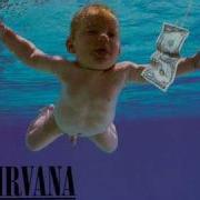 Nirvana Breed Original Instrumental High Quality