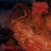 Morbid Angel Fall From Grace